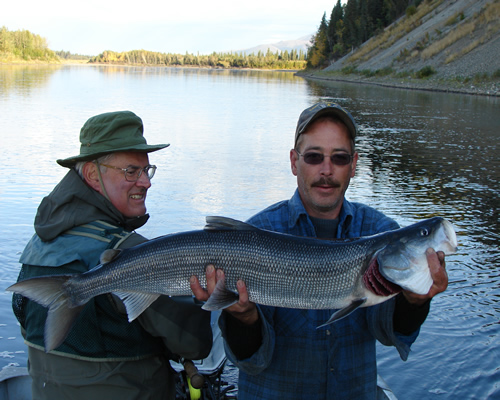 Kobuk River